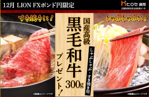 ヒロセ通商[LION FX]