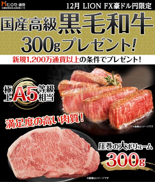 ヒロセ通商[LION FX]