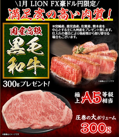 ヒロセ通商[LION FX]