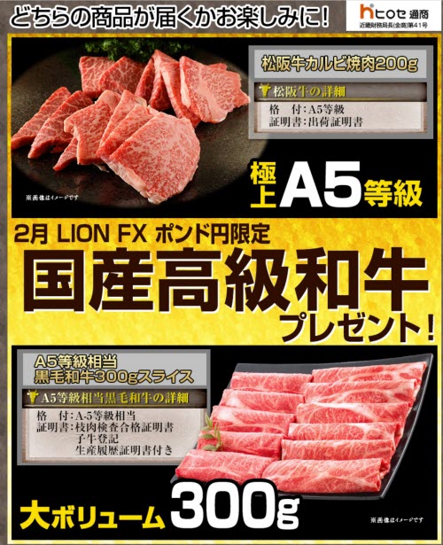 ヒロセ通商[LION FX]