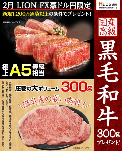 ヒロセ通商[LION FX]