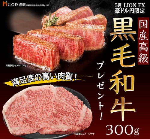 ヒロセ通商[LION FX]
