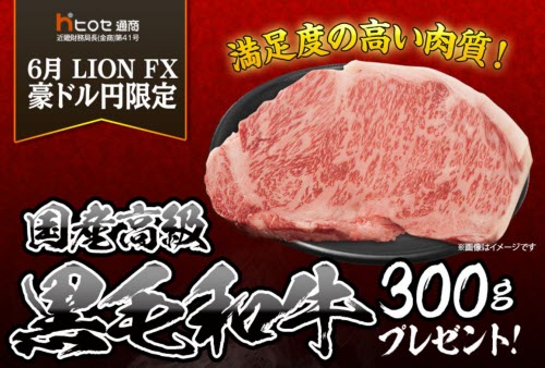 ヒロセ通商[LION FX]
