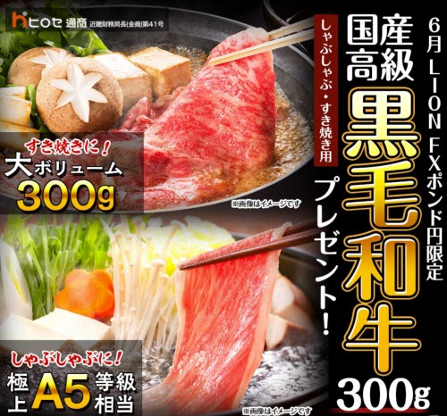 ヒロセ通商[LION FX]