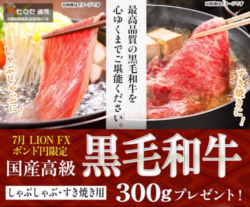 ヒロセ通商[LION FX]
