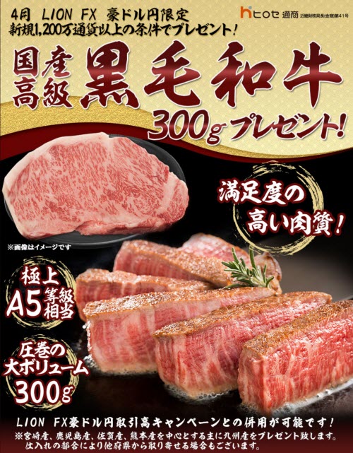 ヒロセ通商[LION FX]