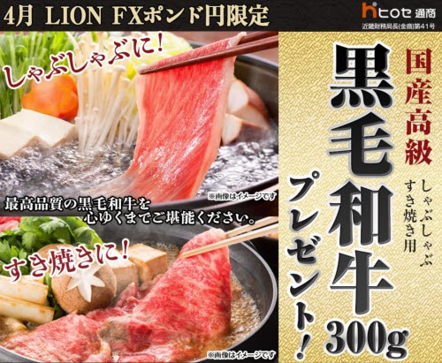 ヒロセ通商[LION FX]