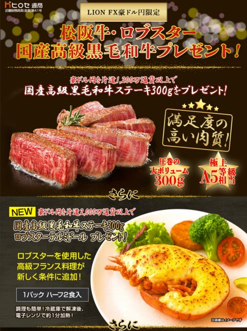 ヒロセ通商[LION FX]
