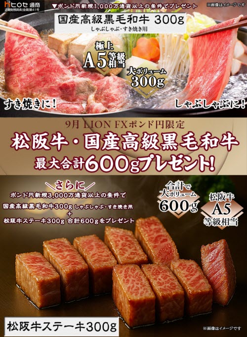 ヒロセ通商[LION FX]