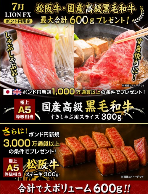 ヒロセ通商[LION FX]