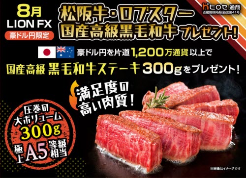 ヒロセ通商[LION FX]