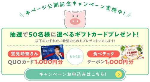 SBI FXトレード[積立FXつみたて外貨]